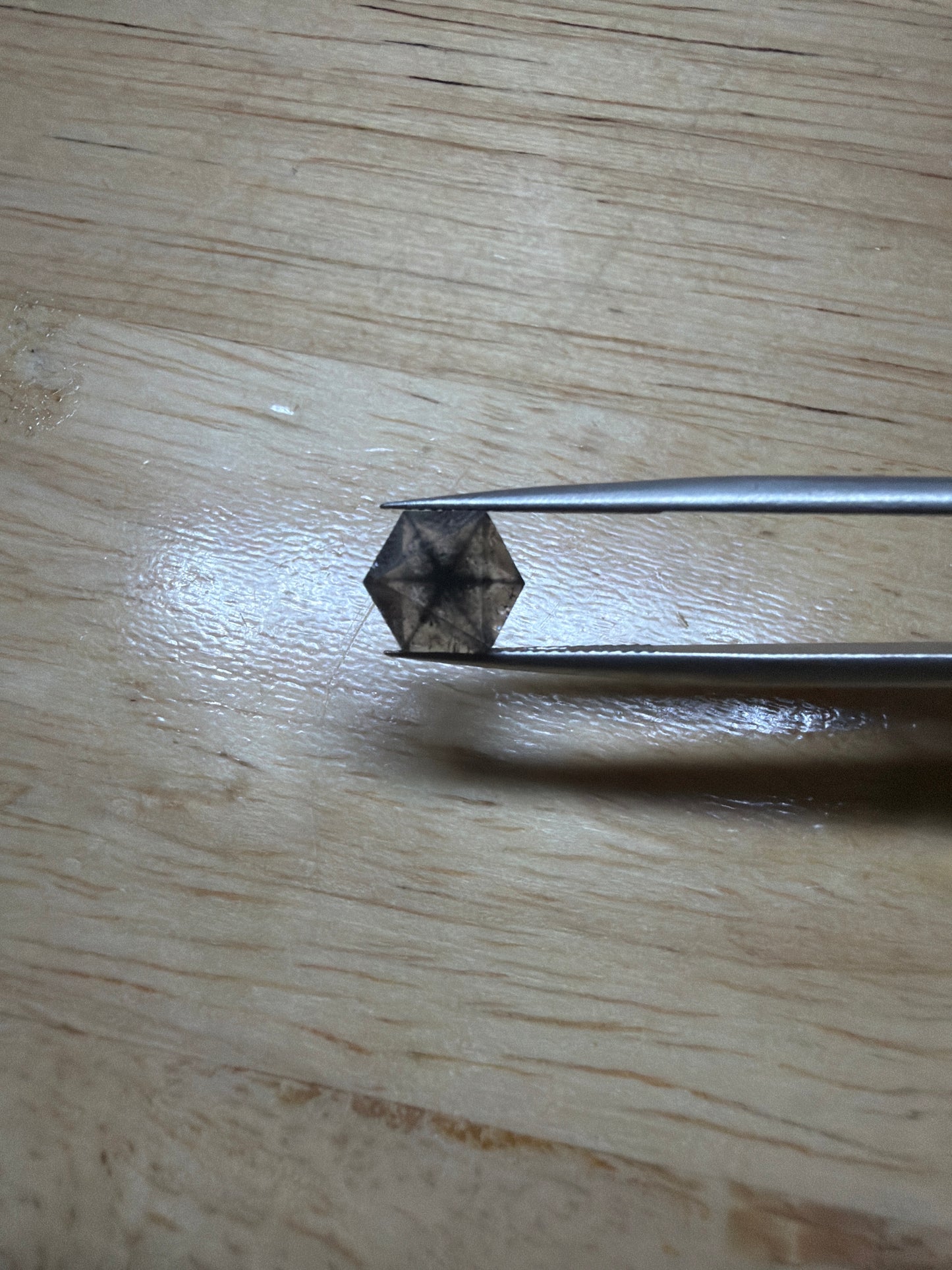 トラピチェガーネット(6)