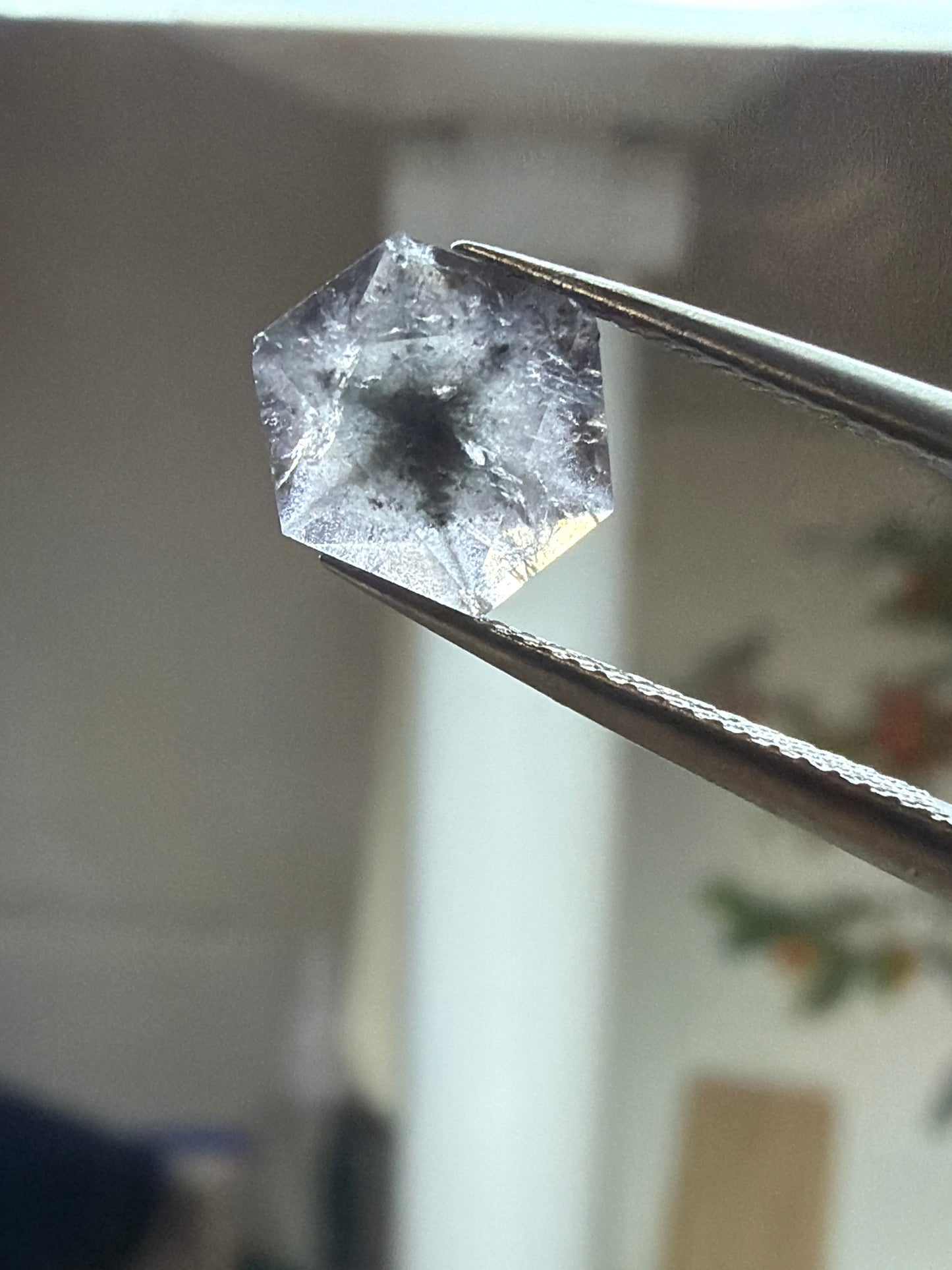 トラピチェガーネット(5)