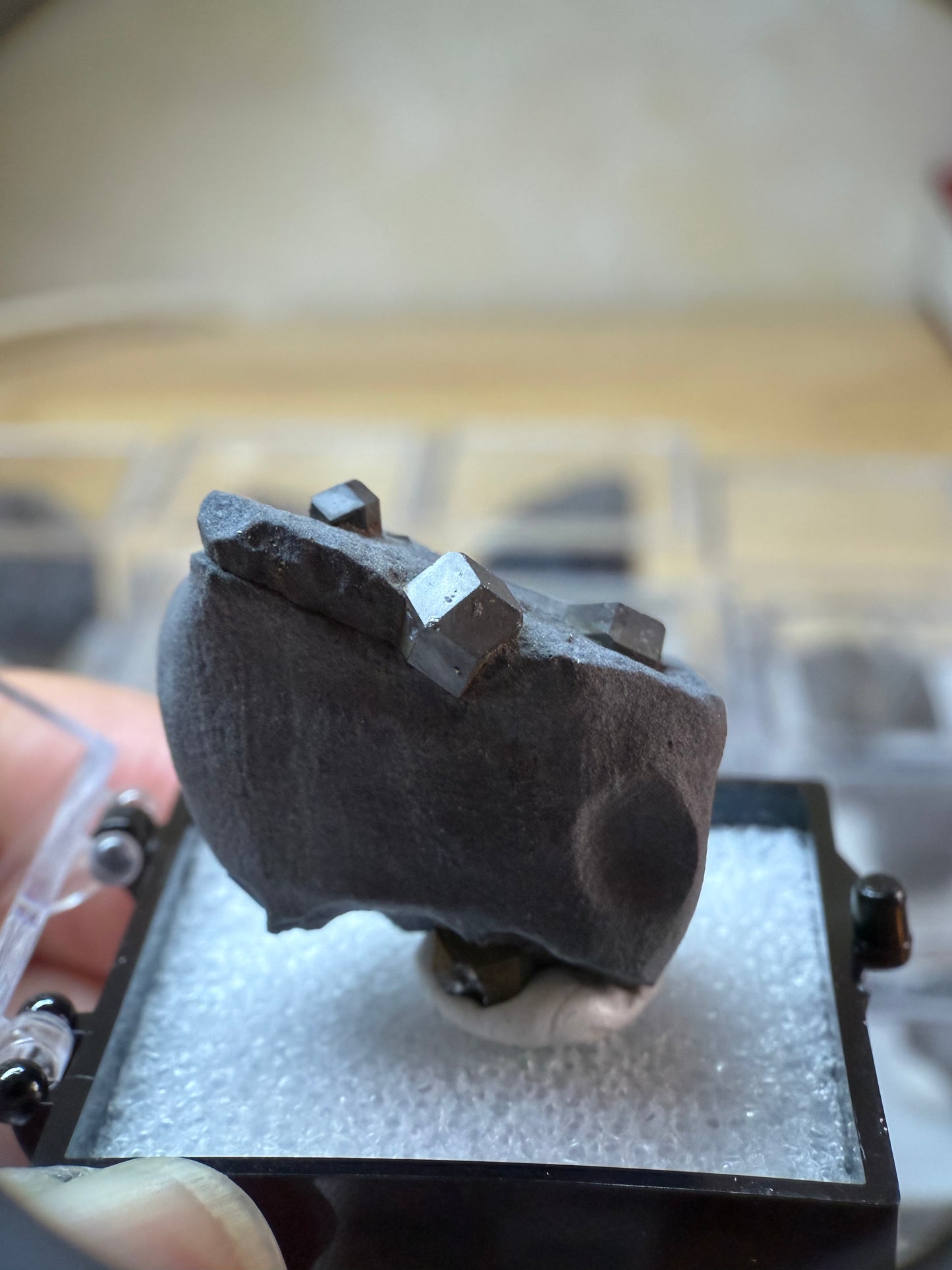 Trapiche garnet (mineral)(6)