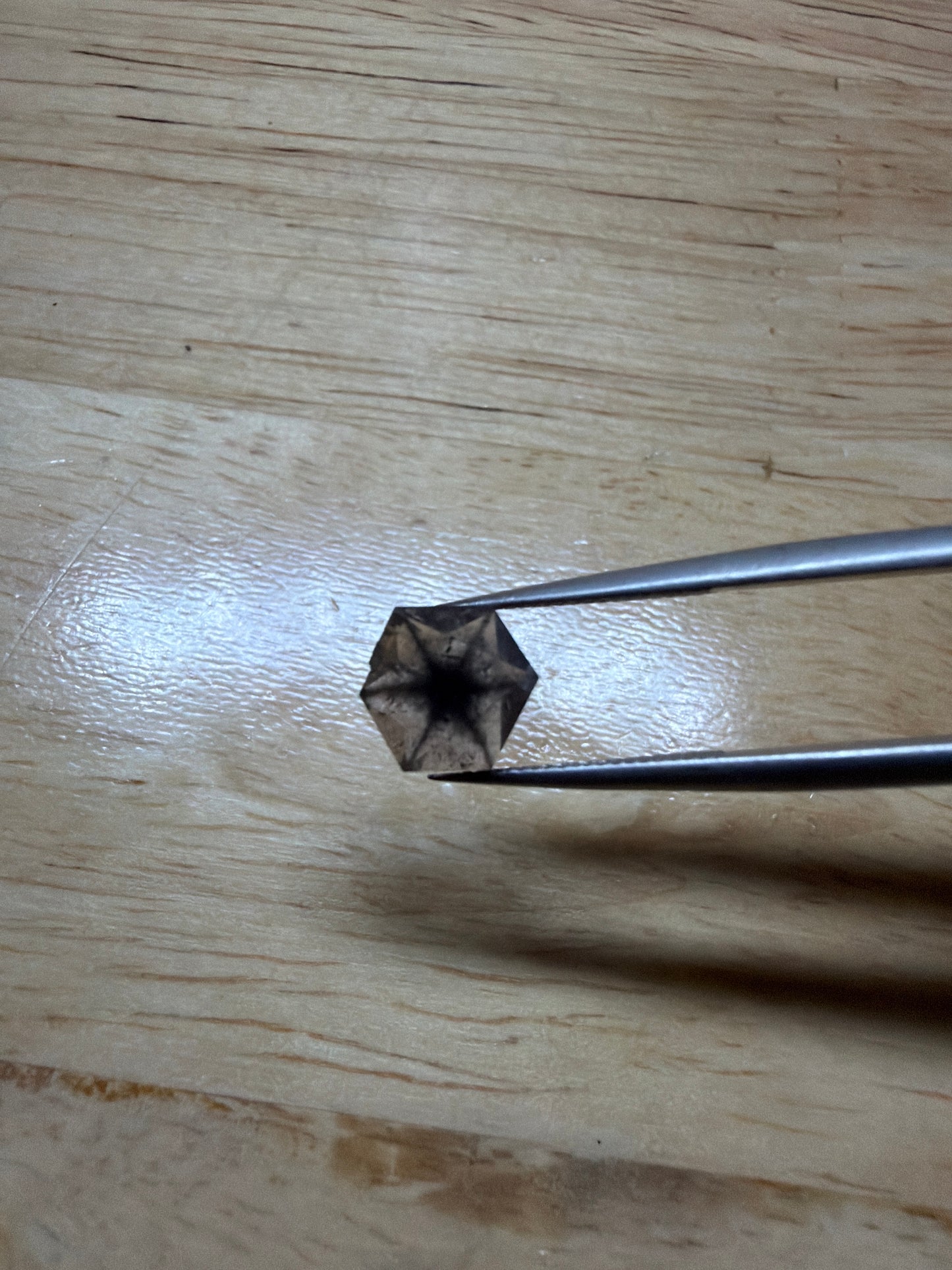 トラピチェガーネット(9)